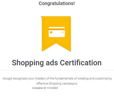 Google Ads Shopping Certification award